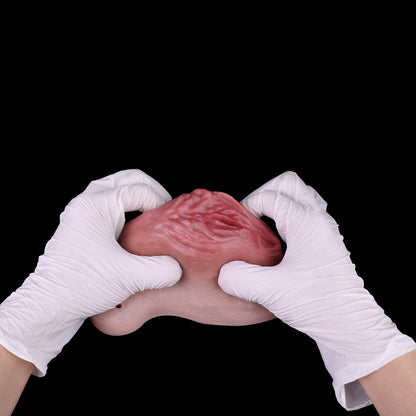 Realistic Silicone Pussy Panties — Wearable Vagina Prosthetic for Trans Women & Femboys