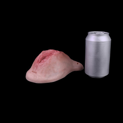Realistic Silicone Pussy Panties — Wearable Vagina Prosthetic for Trans Women & Femboys