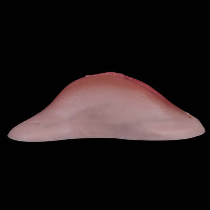 Leather Strap Pussy Panties | Transgender Vaginal Gaff for Trans & Femboys