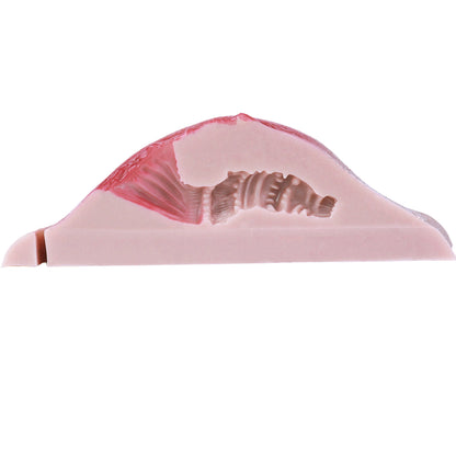 Realistic & Wearable Transgender Vagina Panties – Two-Tone Skin Layer Pussy Briefs with Integrated Vibrator