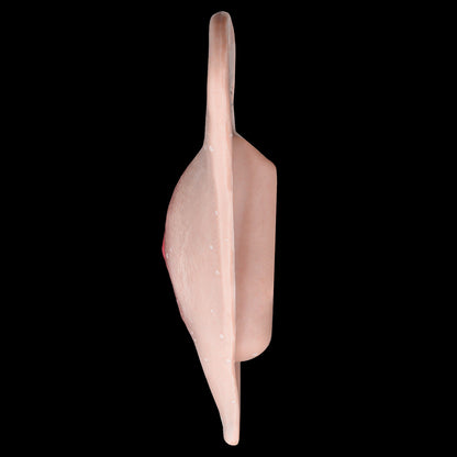Femmevee Realistic Silicone Gaff Pussy Panties | Leather Harness Straps & Urination Port — For Femboys & Crossdressers